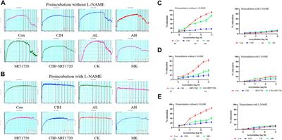 Protective effect of Astragaloside IV on chronic intermittent hypoxia-induced vascular endothelial dysfunction through the calpain-1/SIRT1/AMPK signaling pathway